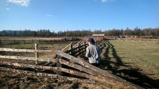 22 мая 2023 г. смотреть онлайн