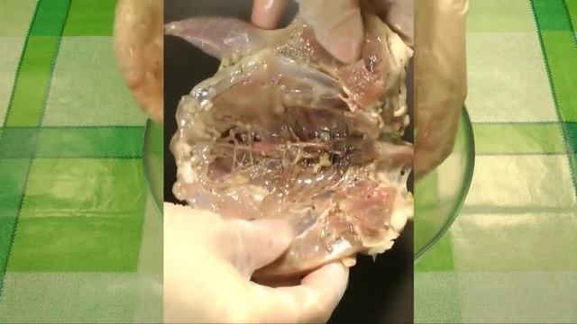 Мотивационные Речи