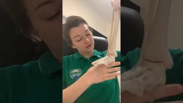 Прямой эфир. Елена Лушника о влиянии плоскостопия на занятия теннисом смотреть онлайн