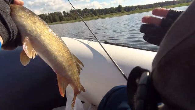 Рыбалка в Костроме. Ловля щуки, судака, жереха! смотреть онлайн