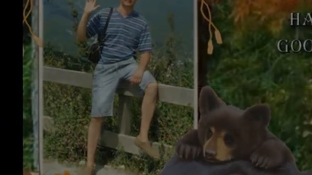 отдых в России на море из фотографий и видео