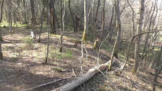 Поход с семьей в лес I Пикник на природе смотреть онлайн