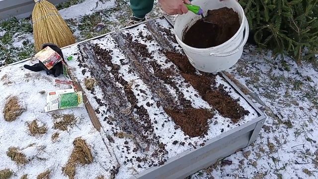 ?Сеем морковь и зелень под зиму. Готовим грядки в теплице. Завершение дачных работ.