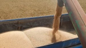 ДА МЫ ТРАКТОРИСТЫ простые трактористы !!! Клип 2020!