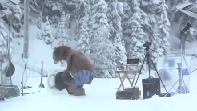 Медвежья услуга! Такое среди бела дня... смотреть онлайн