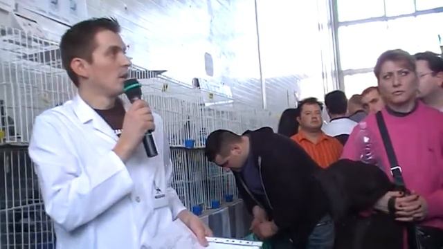 www.porumbel.net - Licitatie Carlos Marquez Prats (2) смотреть онлайн