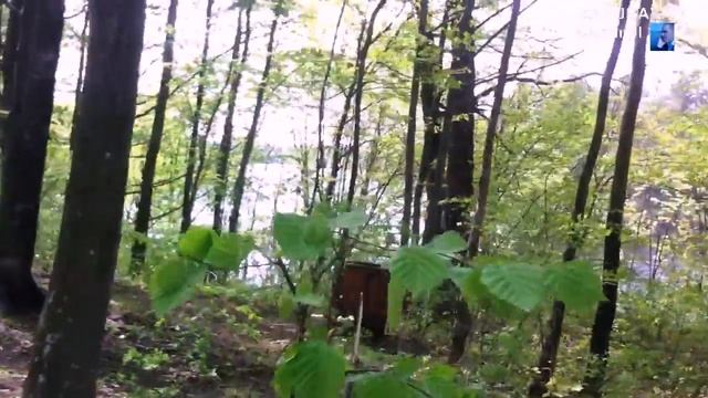 No.0038 "Діброва"село Дениші Житомирська обл смотреть онлайн