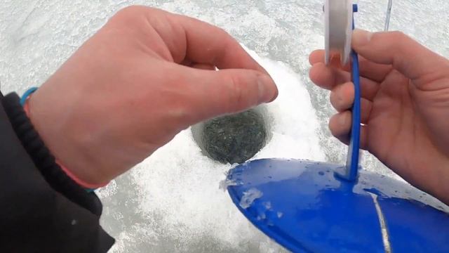 РЫБАЛКА НА ЖЕРЛИЦЫ И САМОЛОВКИ НА НАЛИМА. РАЗВЕДКА НАЛИМЬЕЙ ТРОПЫ. ЗИМНЯЯ РЫБАЛКА 2020. смотреть онлайн