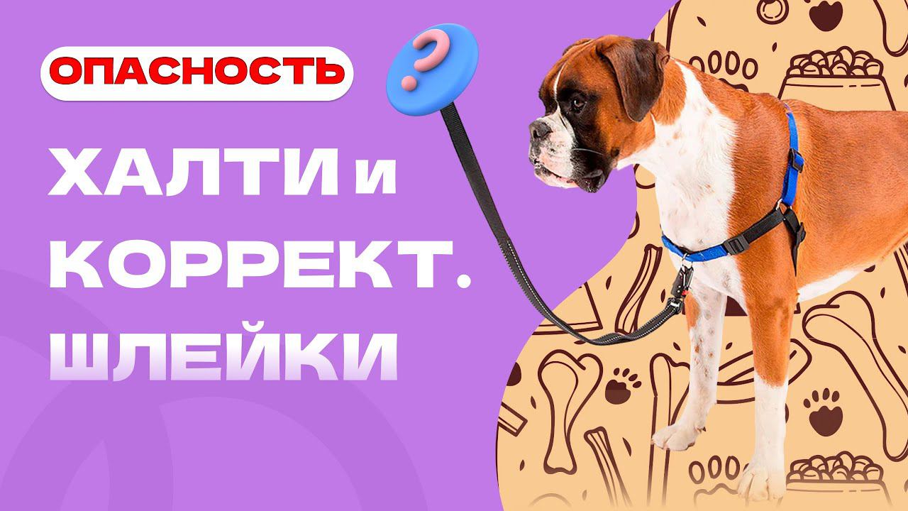 ОПАСНАЯ АМУНИЦИЯ: Корректирующая шлейка или ХАЛТИ