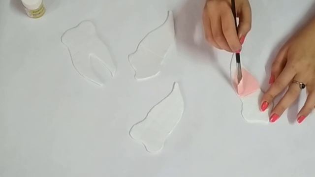 Types Of Teeth Model | School project for students | Science TLM смотреть онлайн