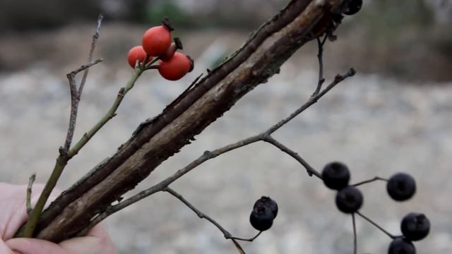 Приколы на рыбалке. STALKER II смотреть онлайн