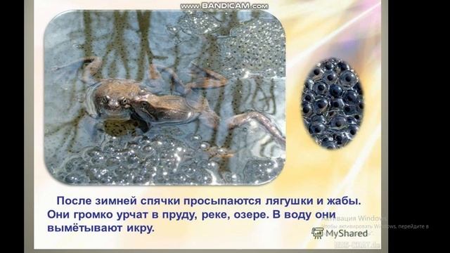 Родиноведение смотреть онлайн