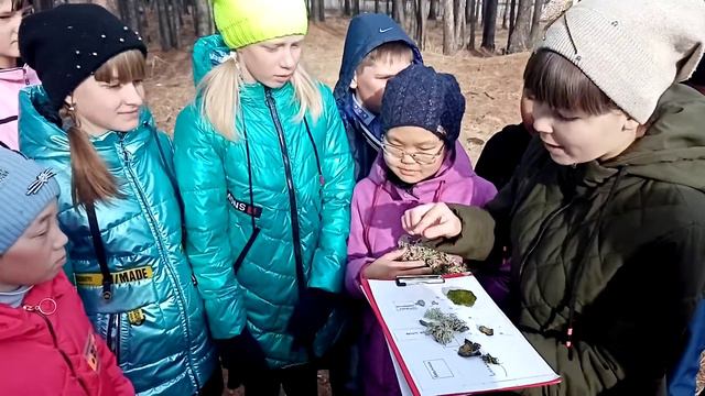Галина Нестерова смотреть онлайн