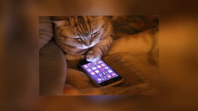 Вот почему нельзя спать со смартфоном! смотреть онлайн