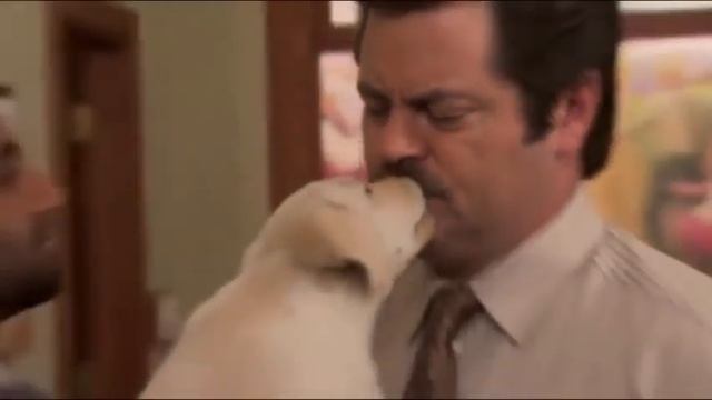 Приколы для взрослых Самые топовые новинки 2017ЮМОР,ПРИКОЛЫ,РАЗВЛЕЧЕНИЯ смотреть онлайн