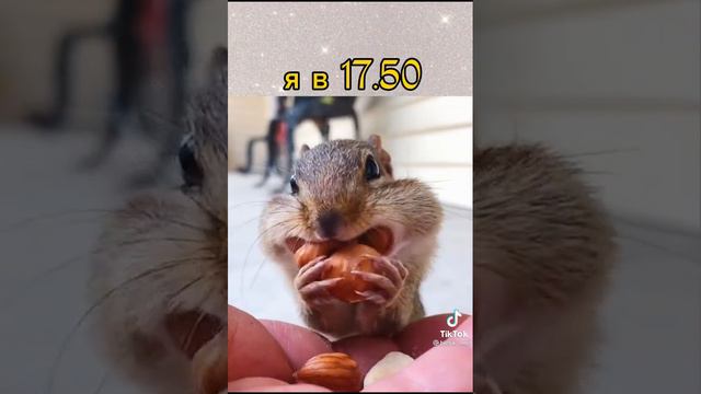 Ужин