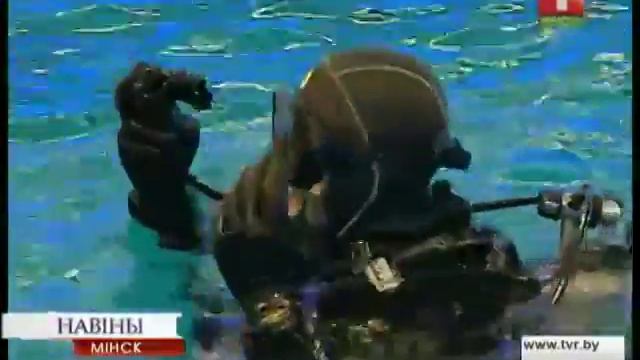 Дайвинг с дельфинами появился в Минском дельфинарии смотреть онлайн