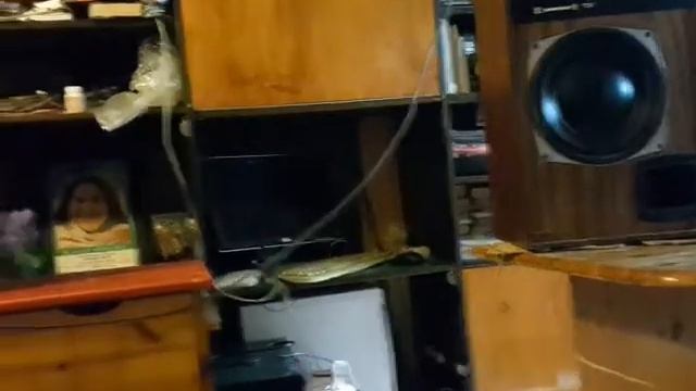 Radiotehnika 35as001.Nakamichi TA-2E смотреть онлайн