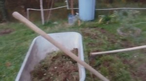 Грядки на дернине. Куда деваем дёрн. Как улучшить почву