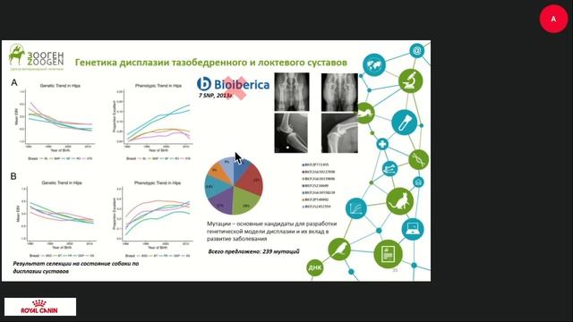 Генетика собак