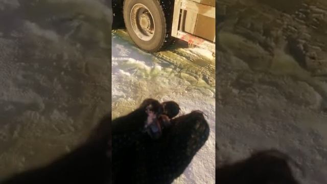шакман смотреть онлайн