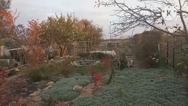 Краски осеннего Крымского парка. Обзор парка "Укромный" в ноябре 2022. смотреть онлайн