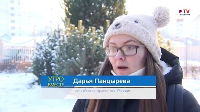 Популярная орнитология: щегол смотреть онлайн