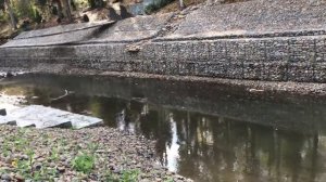 Укрепление берега габионами 100 метров 900 тонн камня