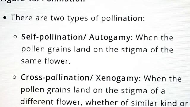 Reproduction In Plants || Class - 7 || Science NCERT || Sexual And Asexual Reproduction , Bisexual👍 смотреть онлайн