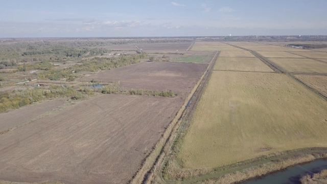 Рисовые чеки у Краснодарского водохранилища 22.10.2022 смотреть онлайн