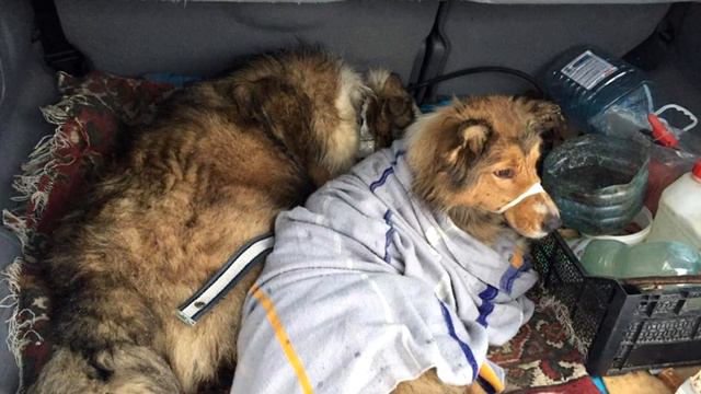 Когда люди подошли к рельсам они не поверили своим глазам! смотреть онлайн
