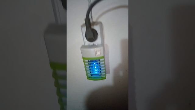 Вешенка начальное плодоношение. смотреть онлайн