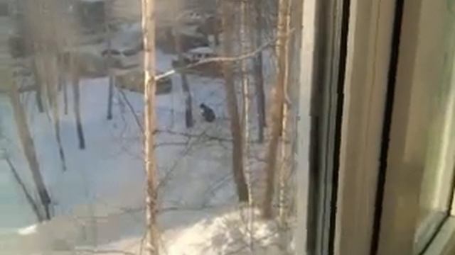Мужика штормит смотреть онлайн