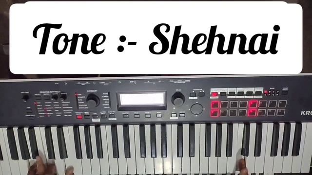 Korg Kross 2 Indian tones Review by Raja Sinha смотреть онлайн