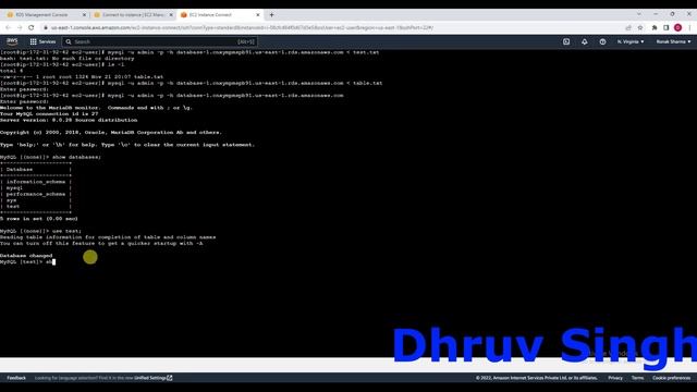 How to Export/Import MySQL Table's Data | AWS RDS MySQL Export/Import data | Advance in AWS MySQL смотреть онлайн