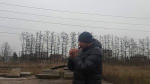 Манок на белолобого гуся RED