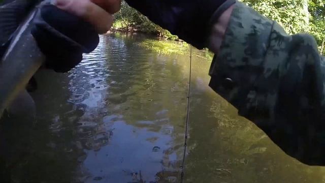 Август 2021. Микроречка. Микроокуни и хорошие хариусы смотреть онлайн