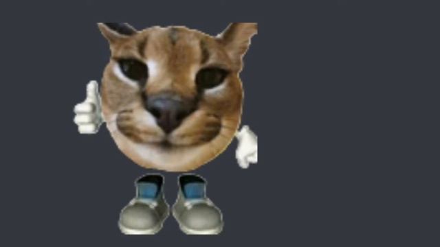 шлёпа смотрит и ставит лайк на протяжении 1 минуты 24 секунды смотреть онлайн