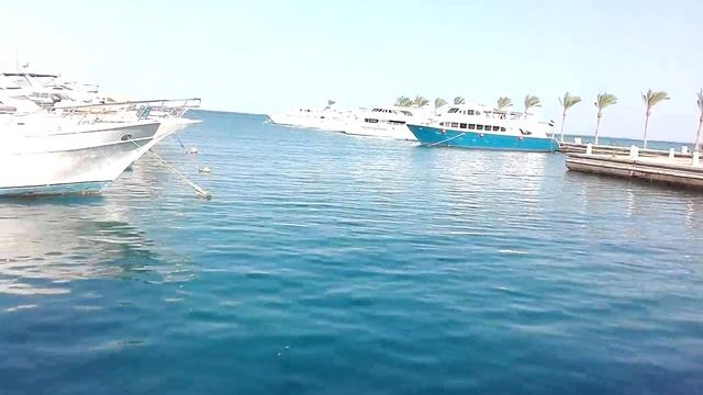 Отдых в Египте! Когда дешевле и почему, а когда дороже и лучше. смотреть онлайн