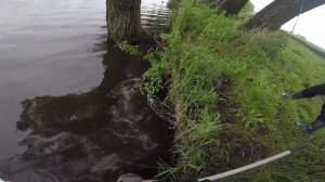 Рыбалка на карпа. Ловля на бойлы, горох, пуфики медовые. Carp Fishing