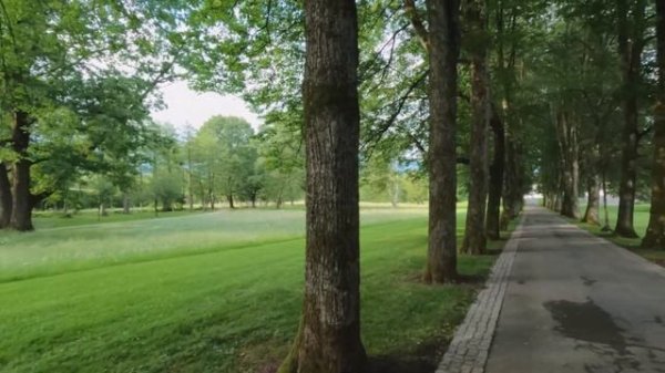 Замок Брдо (Grad Brdo) | Словения