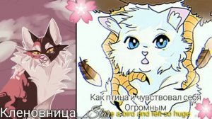 #1 Утерянные файлы/Снежок/ коты-воители