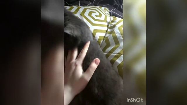 Обновила диванные подушки. Весна же! смотреть онлайн