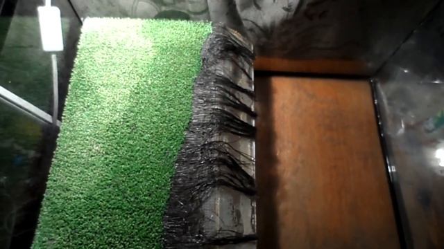 МЕНЯЮ ВОДУ ЧЕРЕПАХАМ!!!КАК ПРАВИЛЬНО МЕНЯТЬ ВОДУ В АКВАРИУМЕ? смотреть онлайн