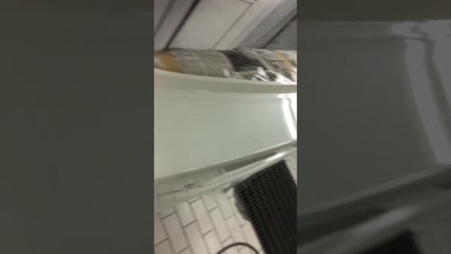 Iwata Bellaria смотреть онлайн