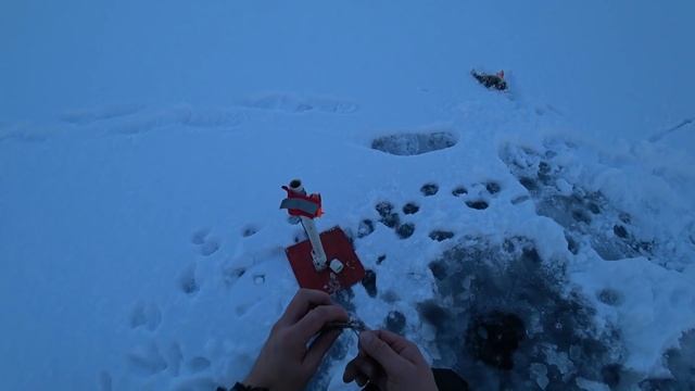 ОЗЕРО СОЗДАННОЕ ЛЕДНИКОМ, ПОДЕЛИЛОСЬ ОКУНЯМИ. ПЕРВОЛЁДКА 20/21 смотреть онлайн