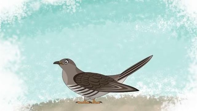 Как говорят животные. Учим язык животных.Часть №1