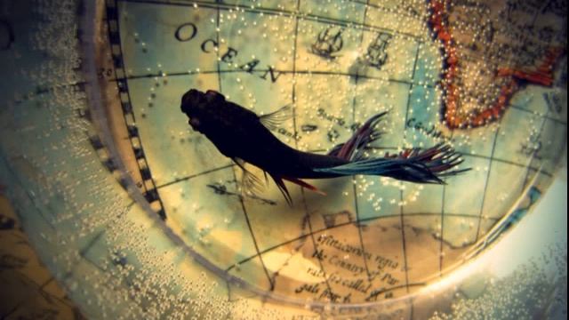 shooter starfighter Sanvein Intro music смотреть онлайн