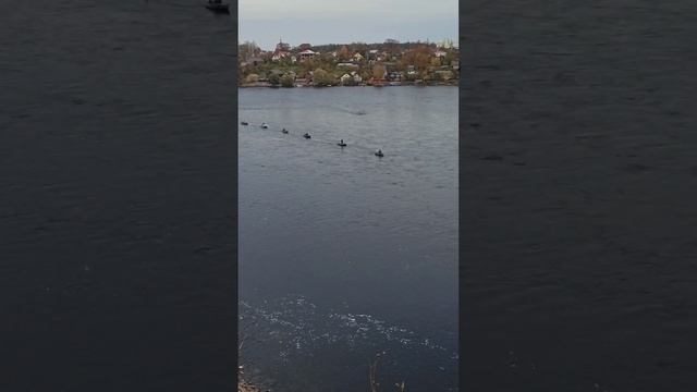 По лодкам рыбаков можно определять где проходит граница между Россией и Эстонией) смотреть онлайн