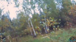 НА МОТОБЛОКЕ ?за дровами?. ПОКАТУШКИ. По осеннему саду. ON THE MOTOR-BLOCK "for firewood". ROLLERS.